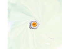 Cinemino Animation Kino Blume 1 eine ganz bezaubernde Geschenkidee
